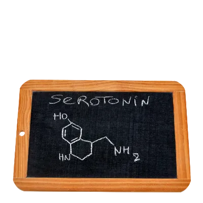 Serotonin Ne İşe Yarar? Serotonin Seviyesi Nasıl Artar?